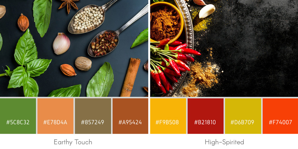 5 Nguồn Cảm Hứng Màu Sắc Giúp Thiết Kế Logo Thương Hiệu Thu hút (P1)